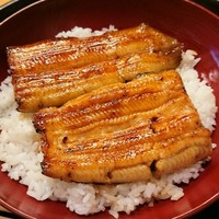 うなぎと季節料理とらや - 