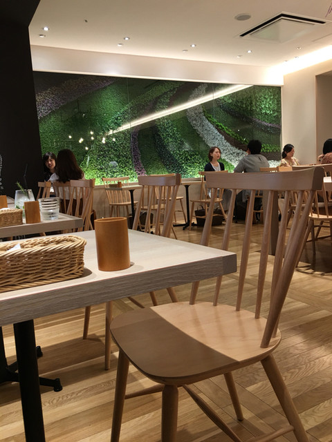 閉店 ハタケ カフェ 銀座店 Hatake Cafe 銀座一丁目 カフェ 食べログ 閉店 ハタケ カフェ 銀座店 Hatake Cafe 銀座一丁目 カフェ 食べログ