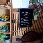 かめ吉 - 店内亀グッズだらけ