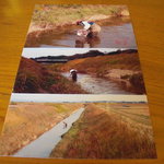 千松しま - 田螺採りをする色川氏の勇姿