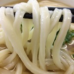 亀城庵 - モチモチ、ぎゅ～んと伸びる麺の食感♬