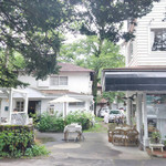 Sajilo Cafe Forest - 