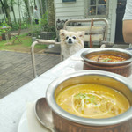 Sajilo Cafe Forest - 