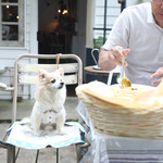 Sajilo Cafe Forest - 