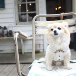 Sajilo Cafe Forest - 