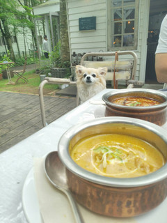 Sajilo Cafe Forest - 