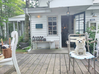 Sajilo Cafe Forest - 