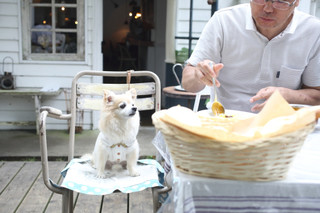 Sajilo Cafe Forest - 