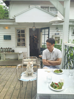 Sajilo Cafe Forest - 