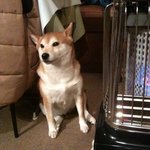 B＆B　アマノ - 唯一のホステス、こゆき姫 チップも忘れずに。