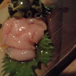 バードコート - 