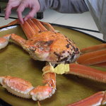 網元の宿　あお来 - 茹で越前蟹：で、でかい！