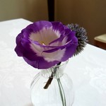 ラ ヴィオレッタ - 