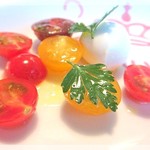 ファニエンテ - 