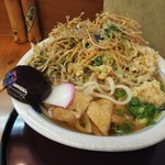 うえだ - かき揚げうどん