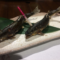 柳家錦 - 