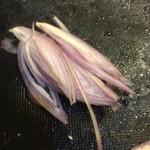 ピッザピッザピッザ - 