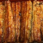 鰻はし本 - 和匠うなぎ新仔