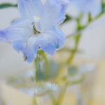 ギビング ツリー カフェ - 