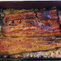 鰻割烹 伊豆栄 梅川亭 - うな重　松　2700円