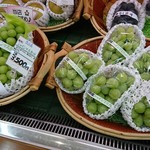 アオイ農園　ぶどうの木 - シャインマスカット♪