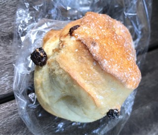 スワン アンド ライオン -