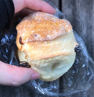 スワン アンド ライオン -