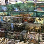 全記海鮮菜館 - 水槽