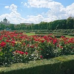 Cafe Meierei Volksgarten - 