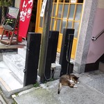 とんかつ とん樹 - 2017/8/8