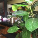 ピッザピッザピッザ - 