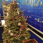 Rainbow Lanai - 時期的にクリスマス