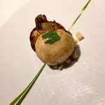 レフェルヴェソンス - 定点〜蕪とパセリ、キントアハム、ブリオッシュ