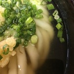 麺庄 - 麺のアップ