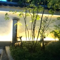 夢窓庵 - 鹿ちゃんがいます