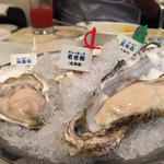 Oyster Bar ジャックポット - 