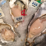 Oyster Bar ジャックポット - 