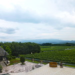 ワイングッズショップ - テラス席から眺める葡萄畑！