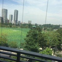 鰻割烹 伊豆栄 本店 - 