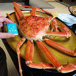 網元の宿　あお来 - 茹で越前蟹：横から