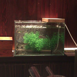 鉄板焼き いわ倉 - 