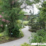 ブランジェ浅野屋 - こんな小道を