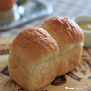 ブレッド コード_0