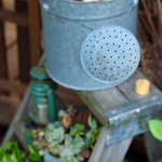 贈りもの菓子食堂 Ｍouette - 