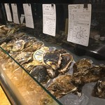 FAST OYSTERS 神楽坂店 - カウンターに並ぶ牡蠣