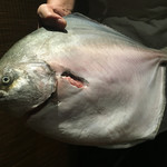 味あら井 - 地元の中津のマナガツオ