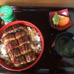 森本うなぎ - うなぎどんぶり中