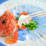 かどや - 絶品♪オニカサゴのお造り