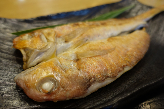 旬のグジを食べに By Pen E P3 はまがわ 小浜 魚介料理 海鮮料理 食べログ 旬のグジを食べに By Pen E P3 はまがわ 小浜 魚介料理 海鮮料理 食べログ
