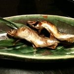 要庵 西富家 - 稚鮎